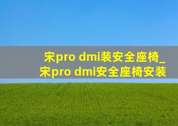 宋pro dmi装安全座椅_宋pro dmi安全座椅安装